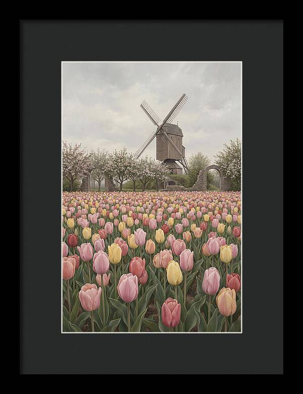Spring Tulip Field With Windmill