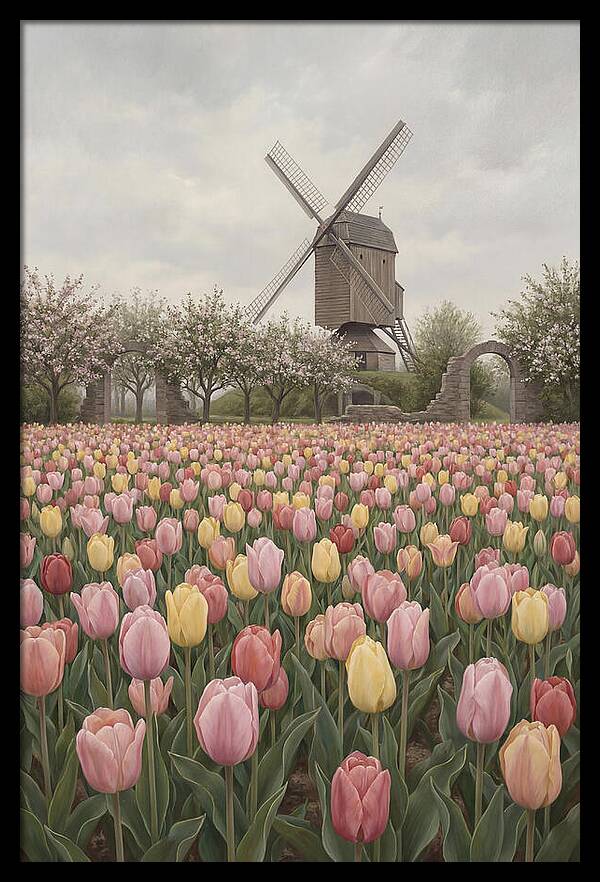 Spring Tulip Field With Windmill