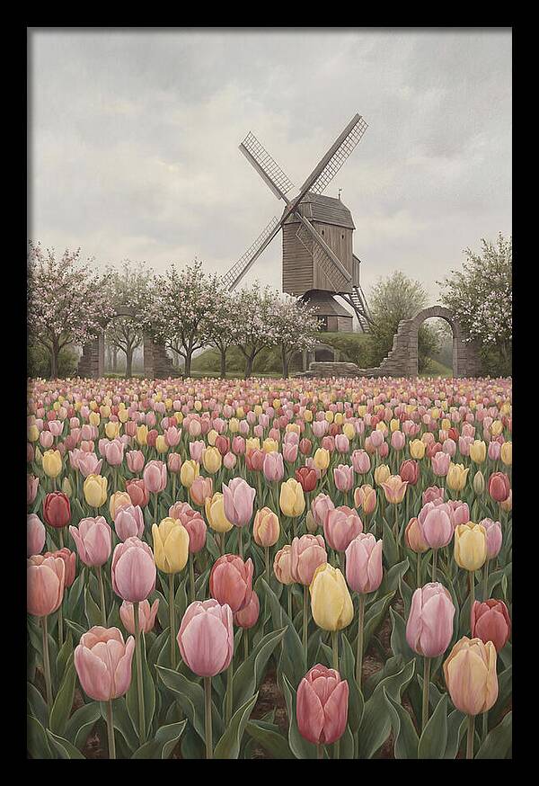 Spring Tulip Field With Windmill