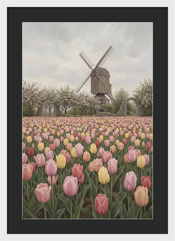Spring Tulip Field With Windmill