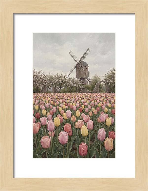 Spring Tulip Field With Windmill
