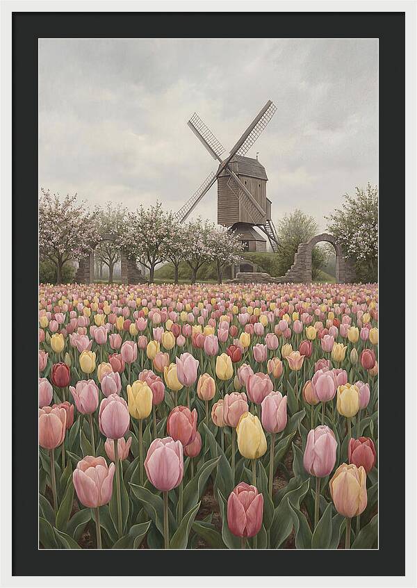 Spring Tulip Field With Windmill