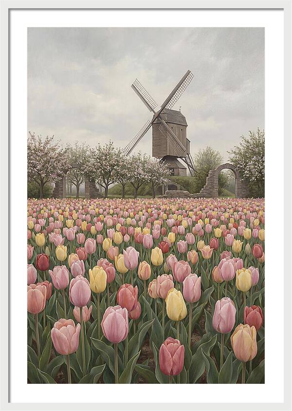 Spring Tulip Field With Windmill