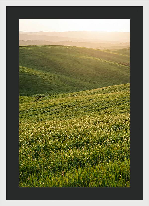 Spring Warmth Over Palouse Hills
