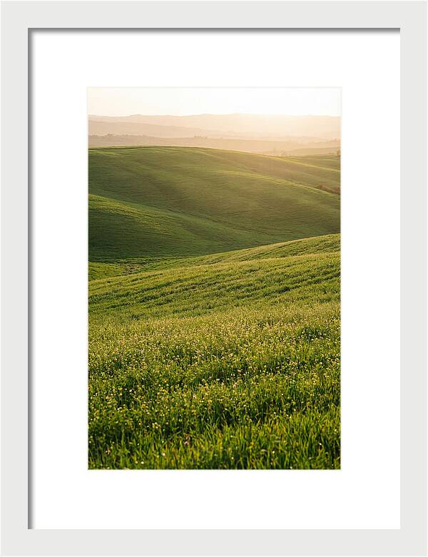 Spring Warmth Over Palouse Hills