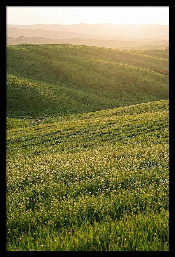 Spring Warmth Over Palouse Hills