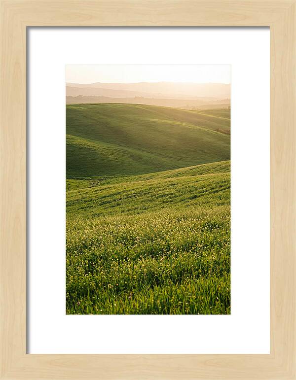 Spring Warmth Over Palouse Hills