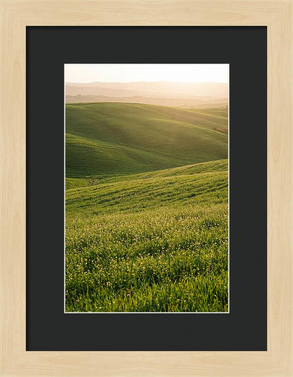 Spring Warmth Over Palouse Hills