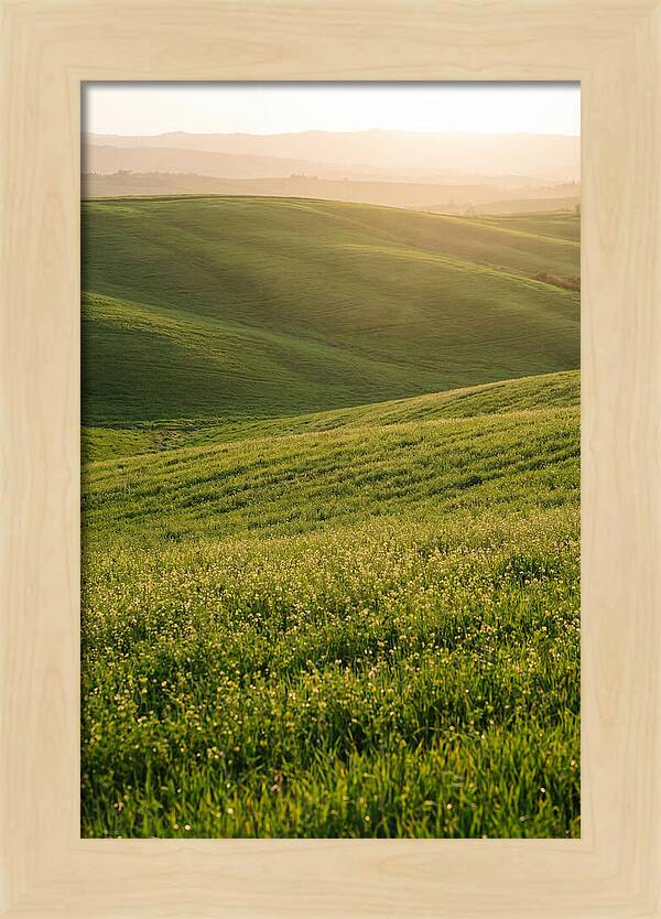 Spring Warmth Over Palouse Hills