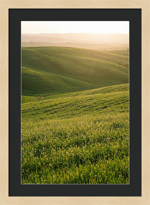 Spring Warmth Over Palouse Hills