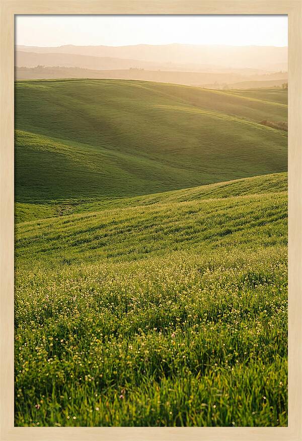 Spring Warmth Over Palouse Hills
