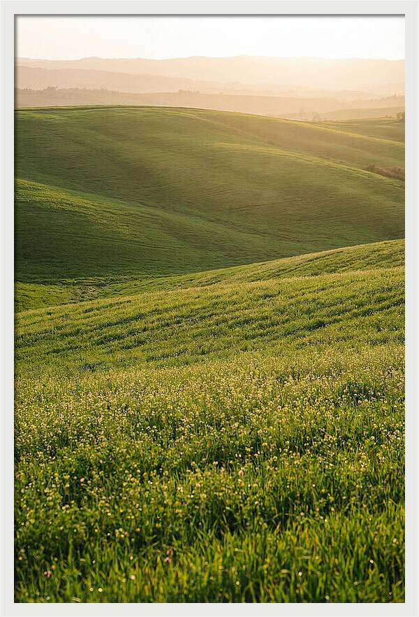 Spring Warmth Over Palouse Hills