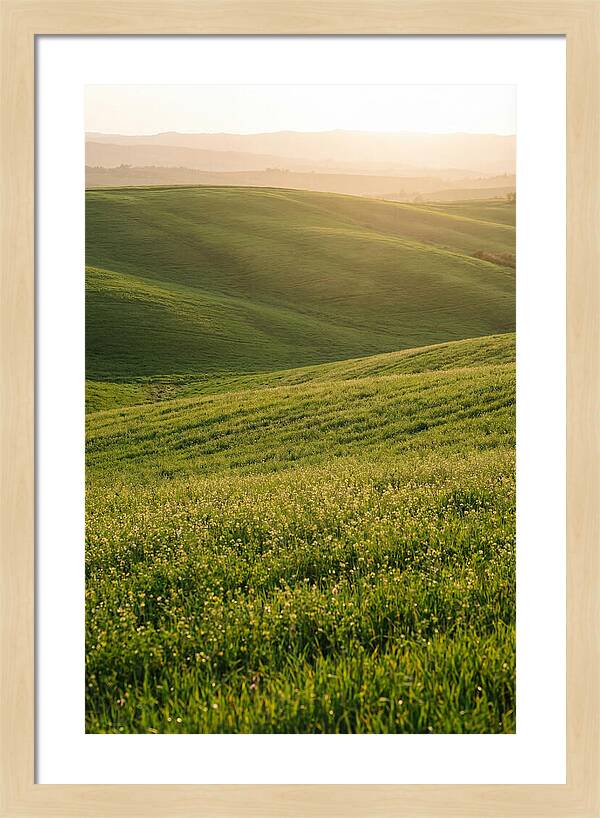 Spring Warmth Over Palouse Hills