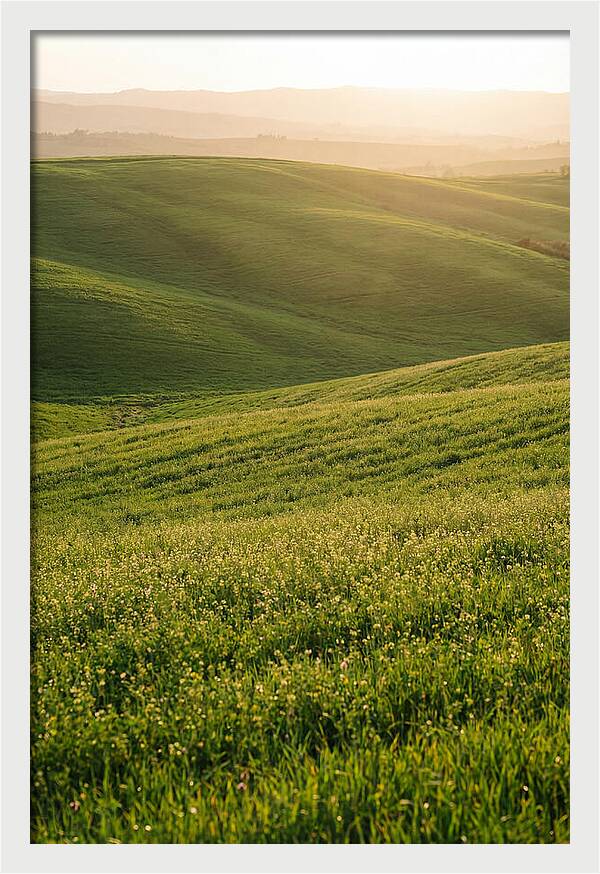 Spring Warmth Over Palouse Hills