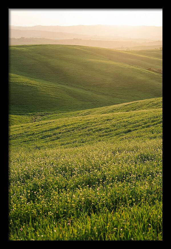 Spring Warmth Over Palouse Hills