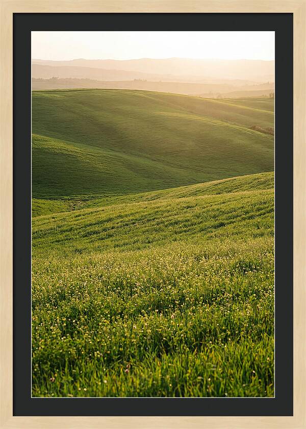 Spring Warmth Over Palouse Hills