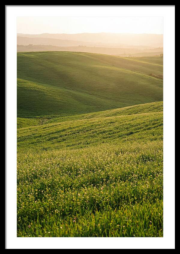 Spring Warmth Over Palouse Hills