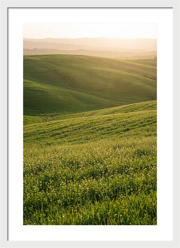 Spring Warmth Over Palouse Hills
