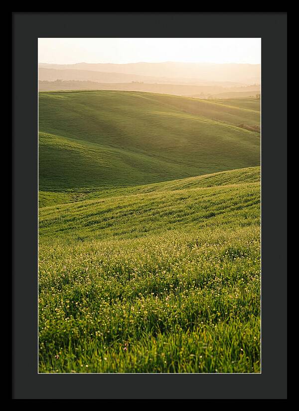 Spring Warmth Over Palouse Hills