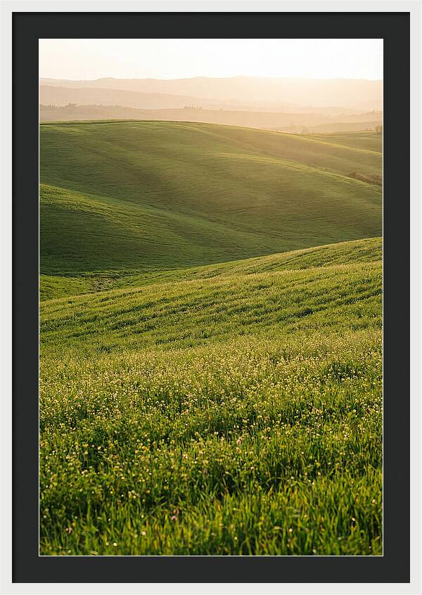 Spring Warmth Over Palouse Hills
