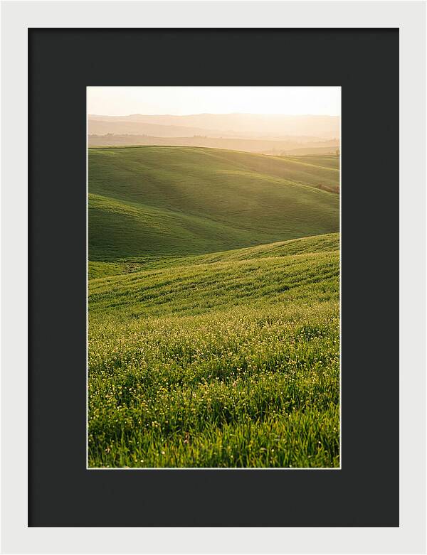 Spring Warmth Over Palouse Hills
