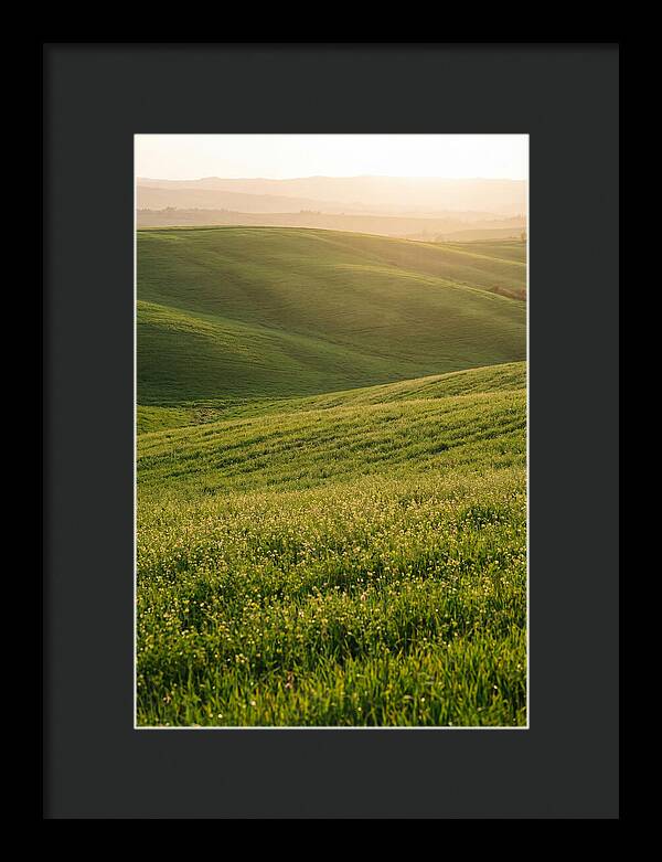 Spring Warmth Over Palouse Hills