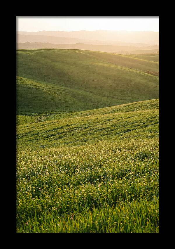 Spring Warmth Over Palouse Hills