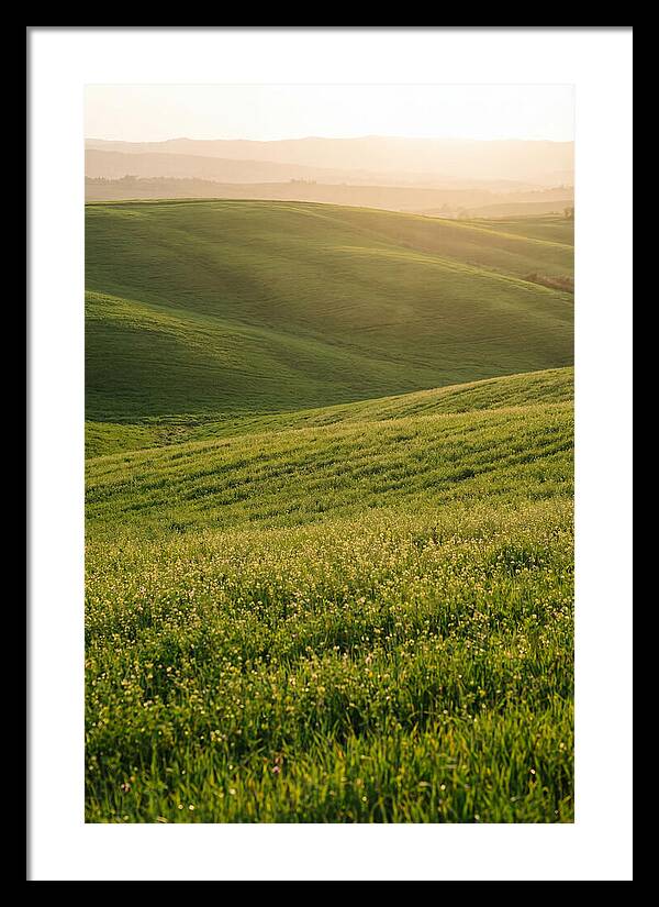 Spring Warmth Over Palouse Hills