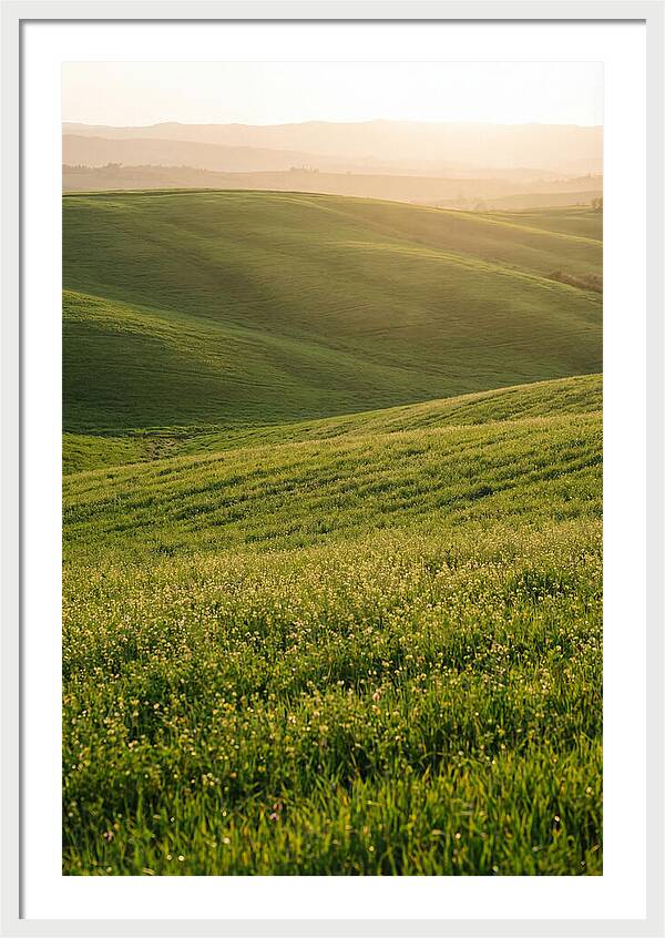 Spring Warmth Over Palouse Hills