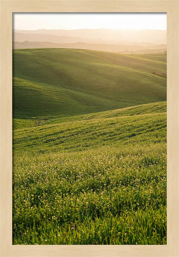 Spring Warmth Over Palouse Hills