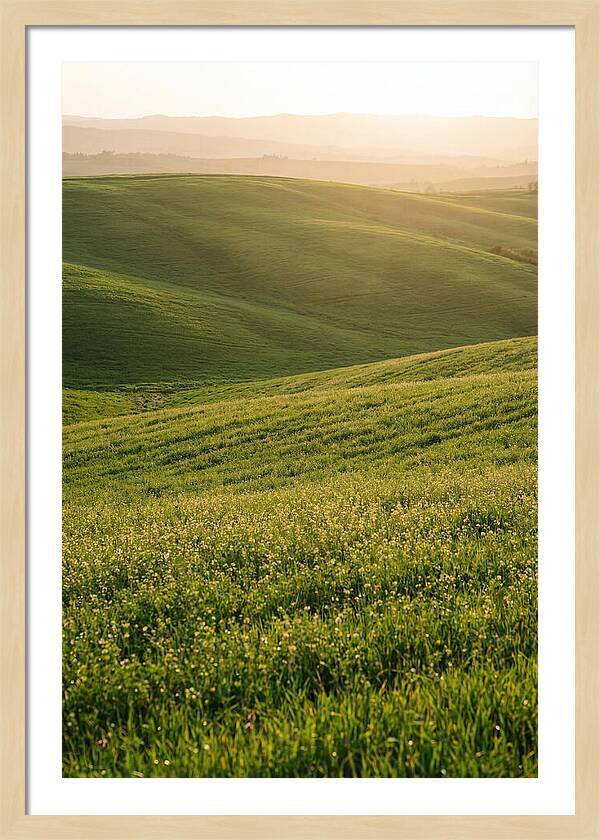 Spring Warmth Over Palouse Hills