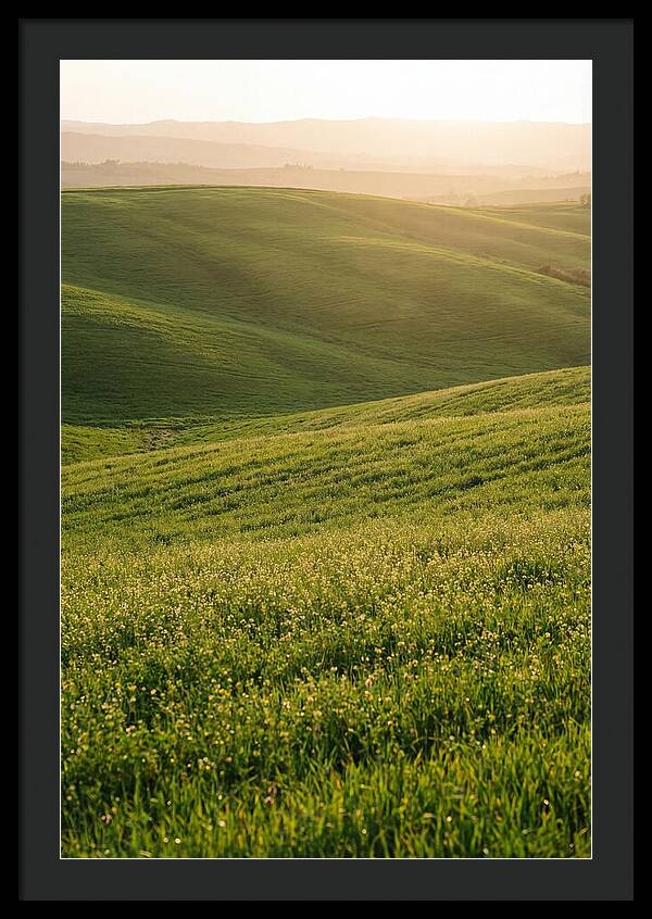Spring Warmth Over Palouse Hills