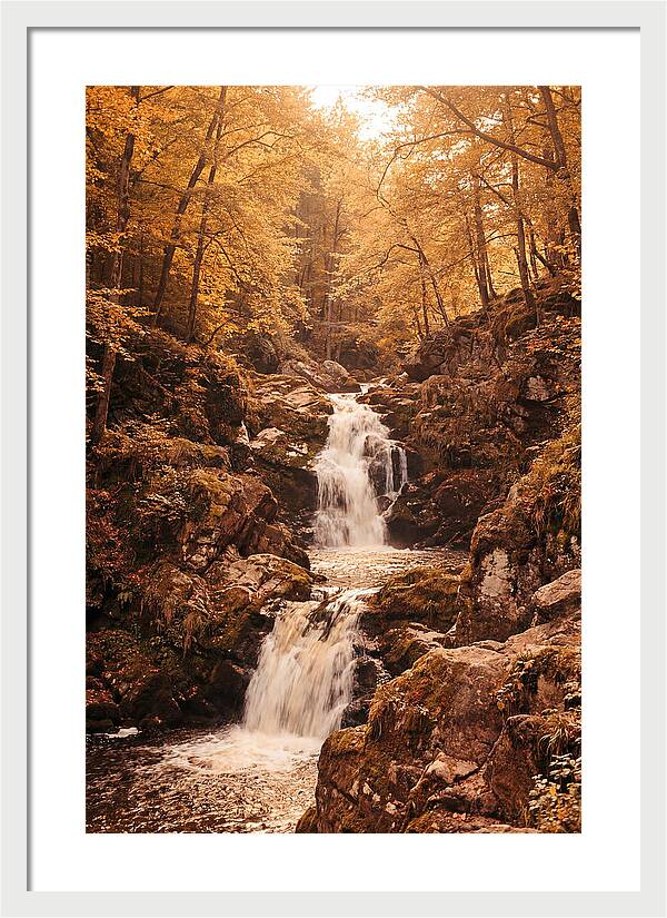Spring Waterfall Flowing Through Autumn