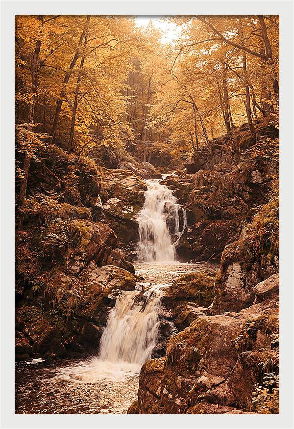 Spring Waterfall Flowing Through Autumn