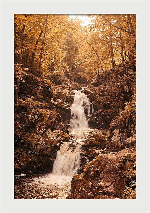 Spring Waterfall Flowing Through Autumn