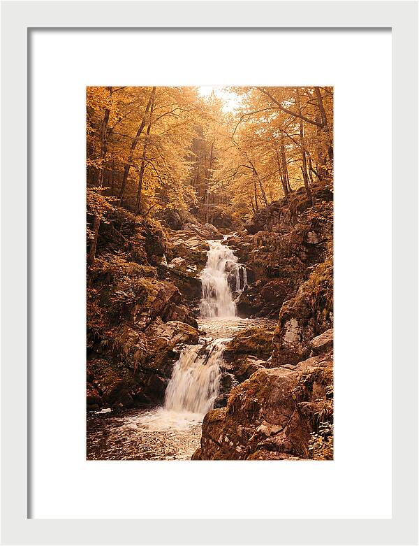 Spring Waterfall Flowing Through Autumn