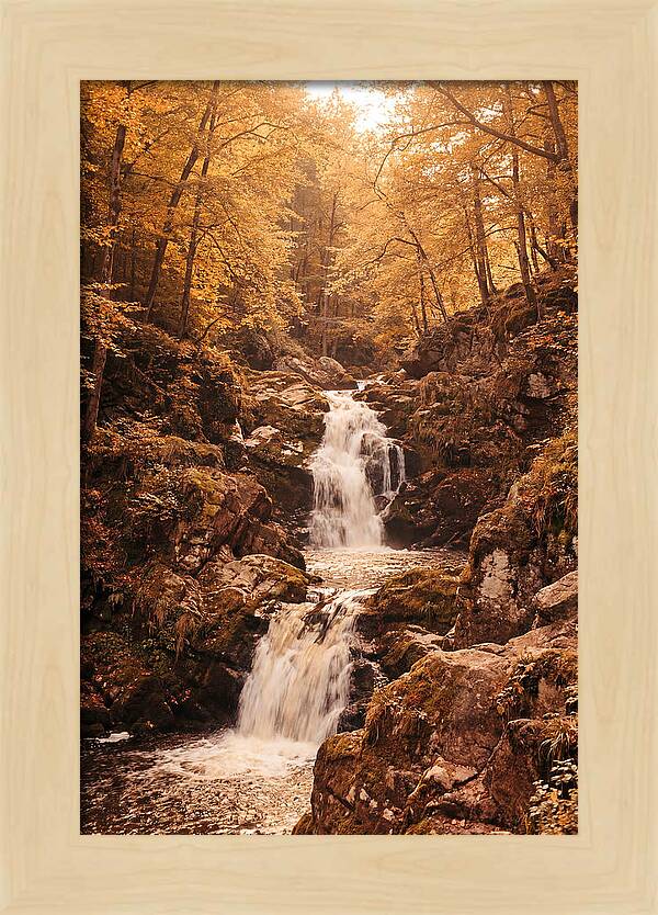 Spring Waterfall Flowing Through Autumn