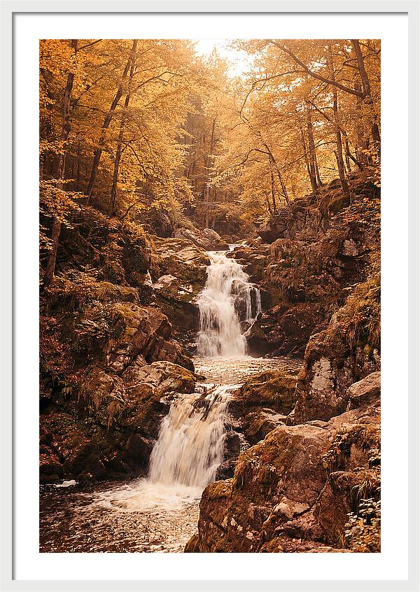 Spring Waterfall Flowing Through Autumn