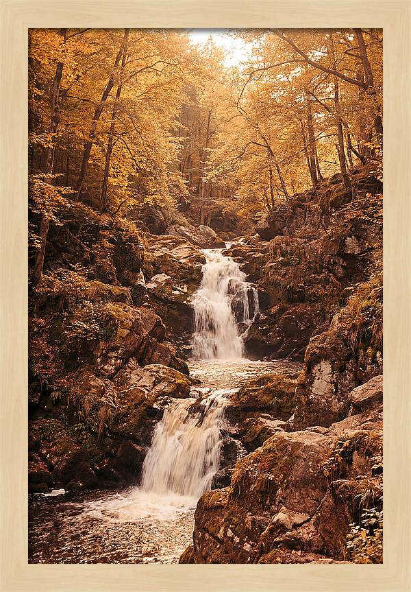 Spring Waterfall Flowing Through Autumn