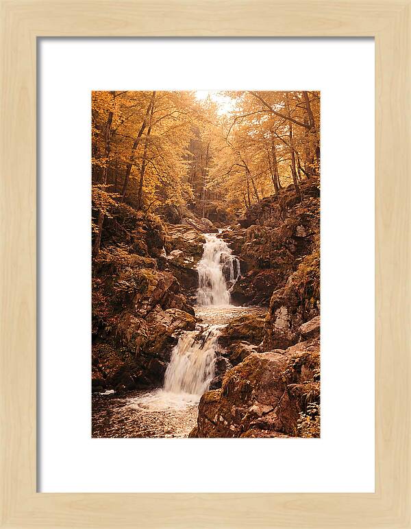 Spring Waterfall Flowing Through Autumn