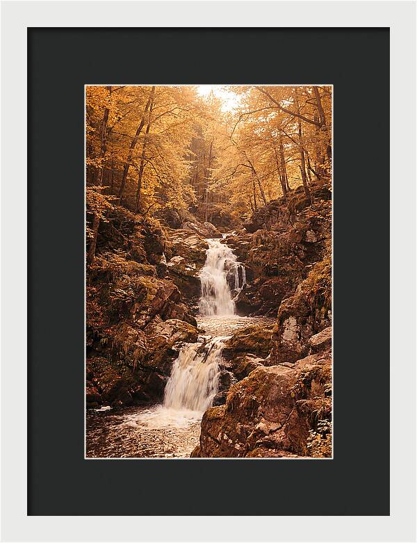 Spring Waterfall Flowing Through Autumn