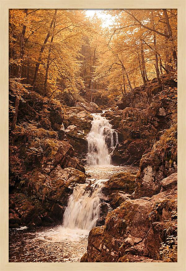 Spring Waterfall Flowing Through Autumn