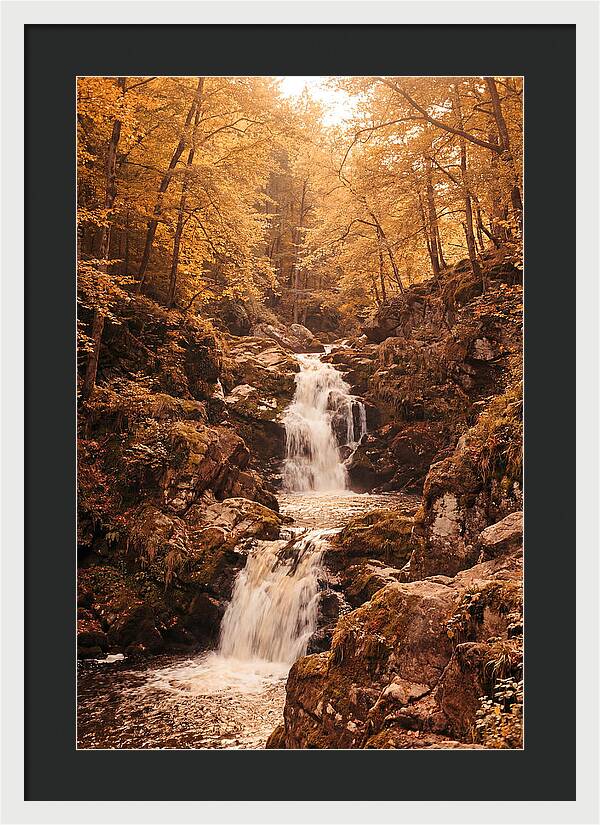 Spring Waterfall Flowing Through Autumn