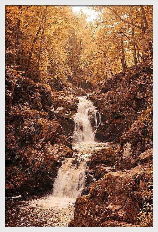 Spring Waterfall Flowing Through Autumn