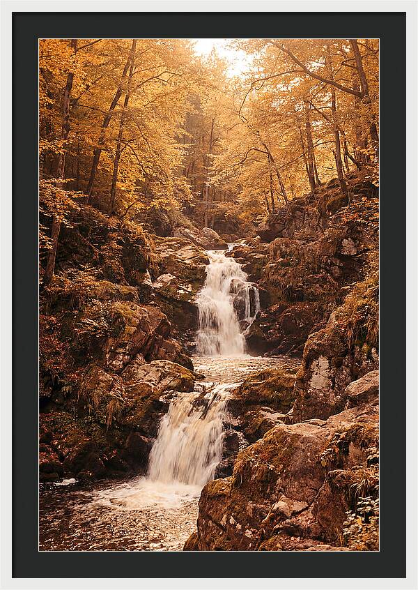 Spring Waterfall Flowing Through Autumn