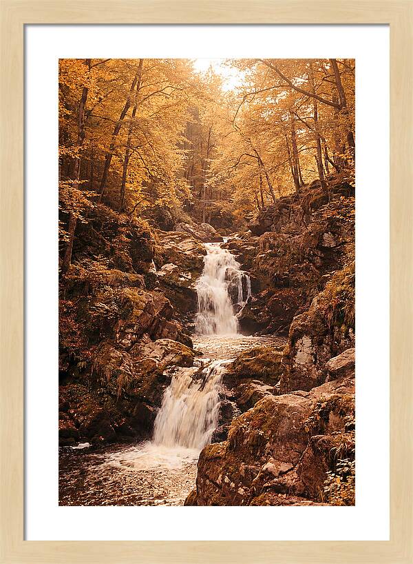 Spring Waterfall Flowing Through Autumn