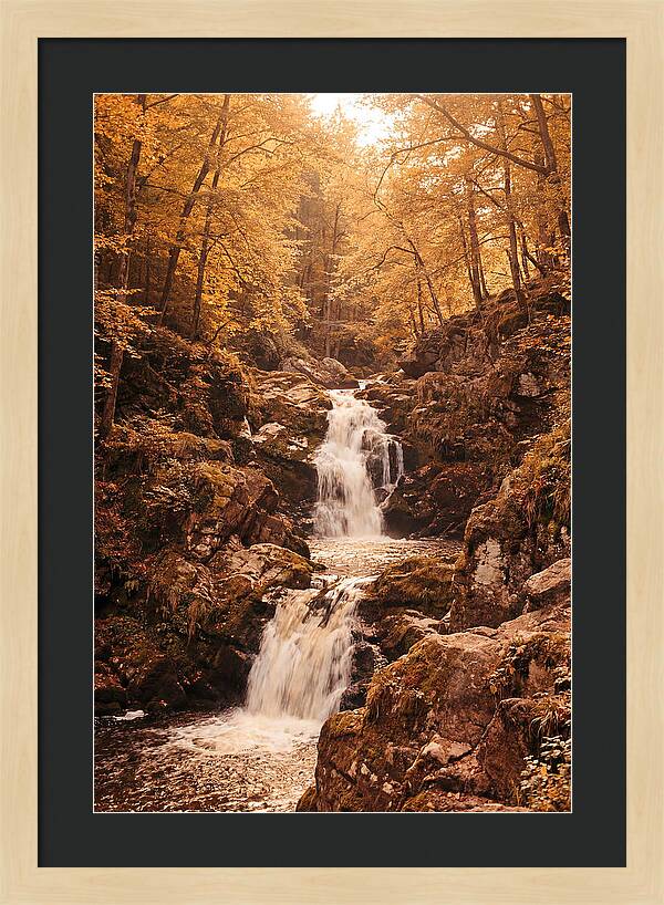 Spring Waterfall Flowing Through Autumn