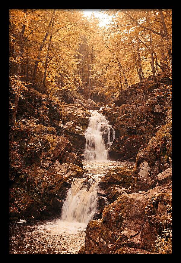 Spring Waterfall Flowing Through Autumn
