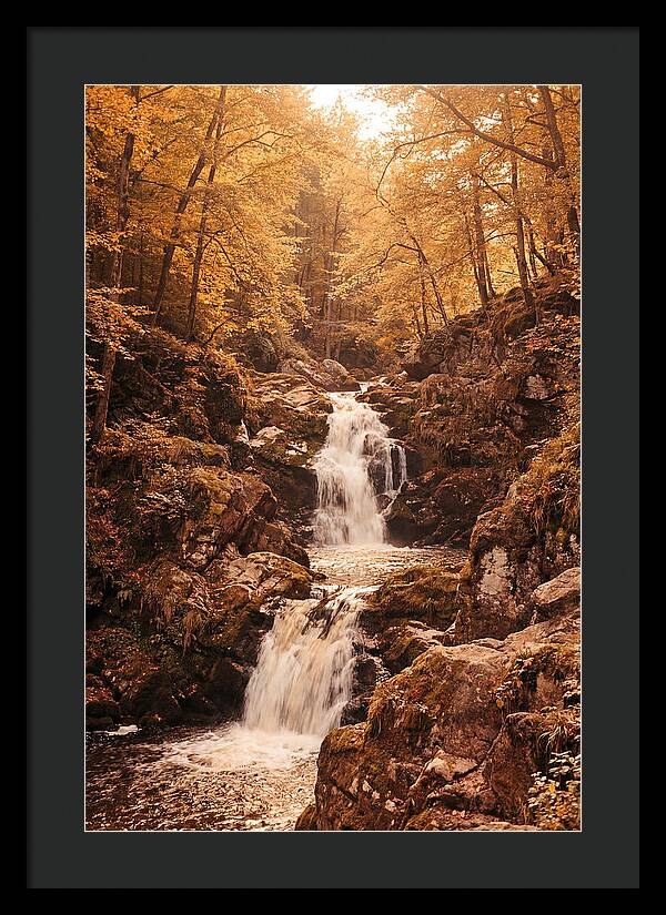 Spring Waterfall Flowing Through Autumn