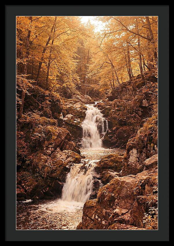 Spring Waterfall Flowing Through Autumn